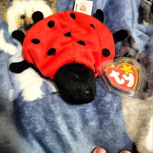 Lucky the ladybug ty beanie babies